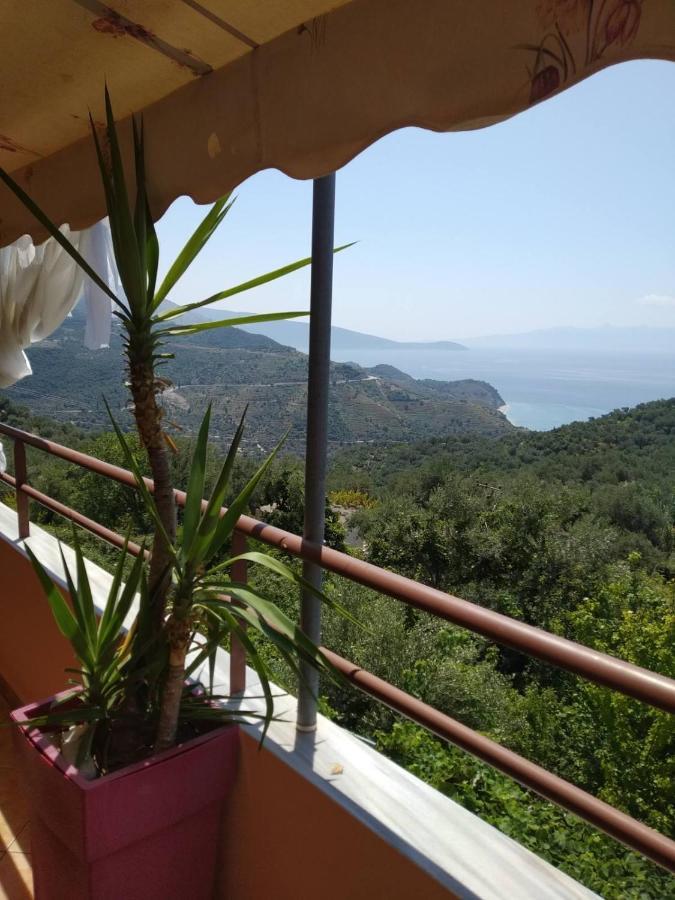 Villa Maria Luxury Apartments "Bunec-Piqeras"! Экстерьер фото